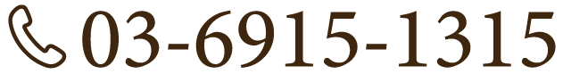 03-6915-1315